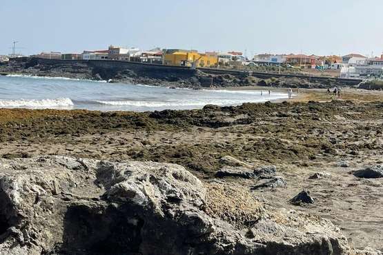 Usuarios de La Garita denuncian la deficiente limpieza para retirar la seba acumulada en la orilla/TA.